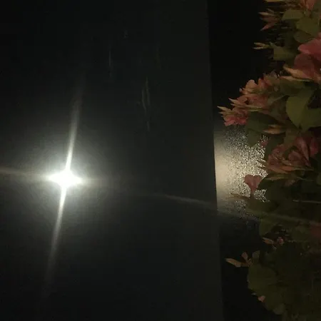 贝拉利瓦酒店 利多迪迪耶索洛