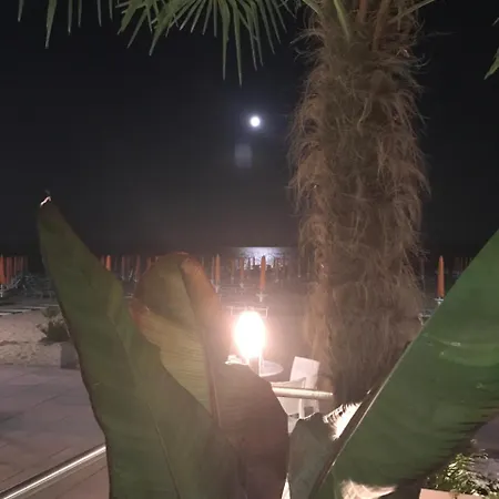 贝拉利瓦酒店 3* 利多迪迪耶索洛